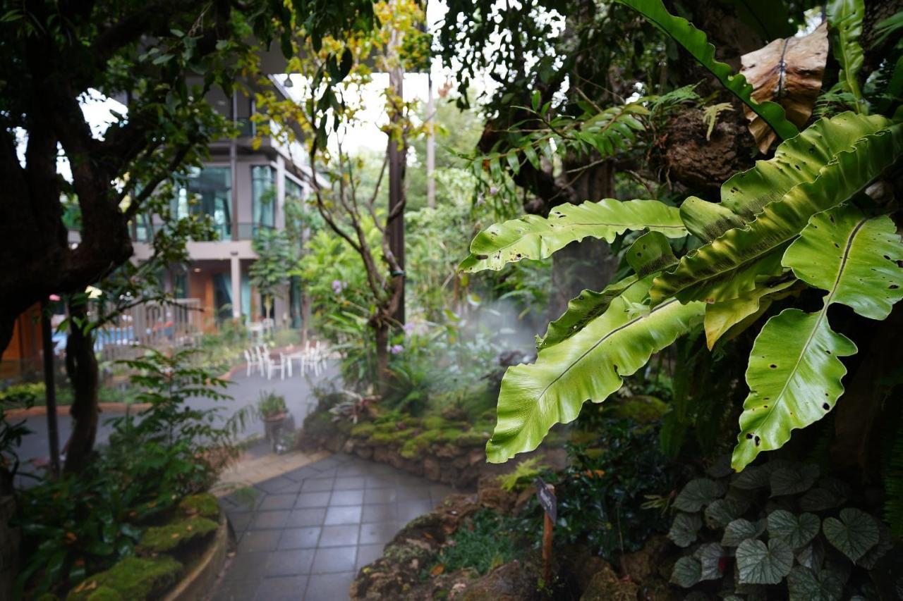 Treescape Resort Chiangmai Chiang Mai Bagian luar foto