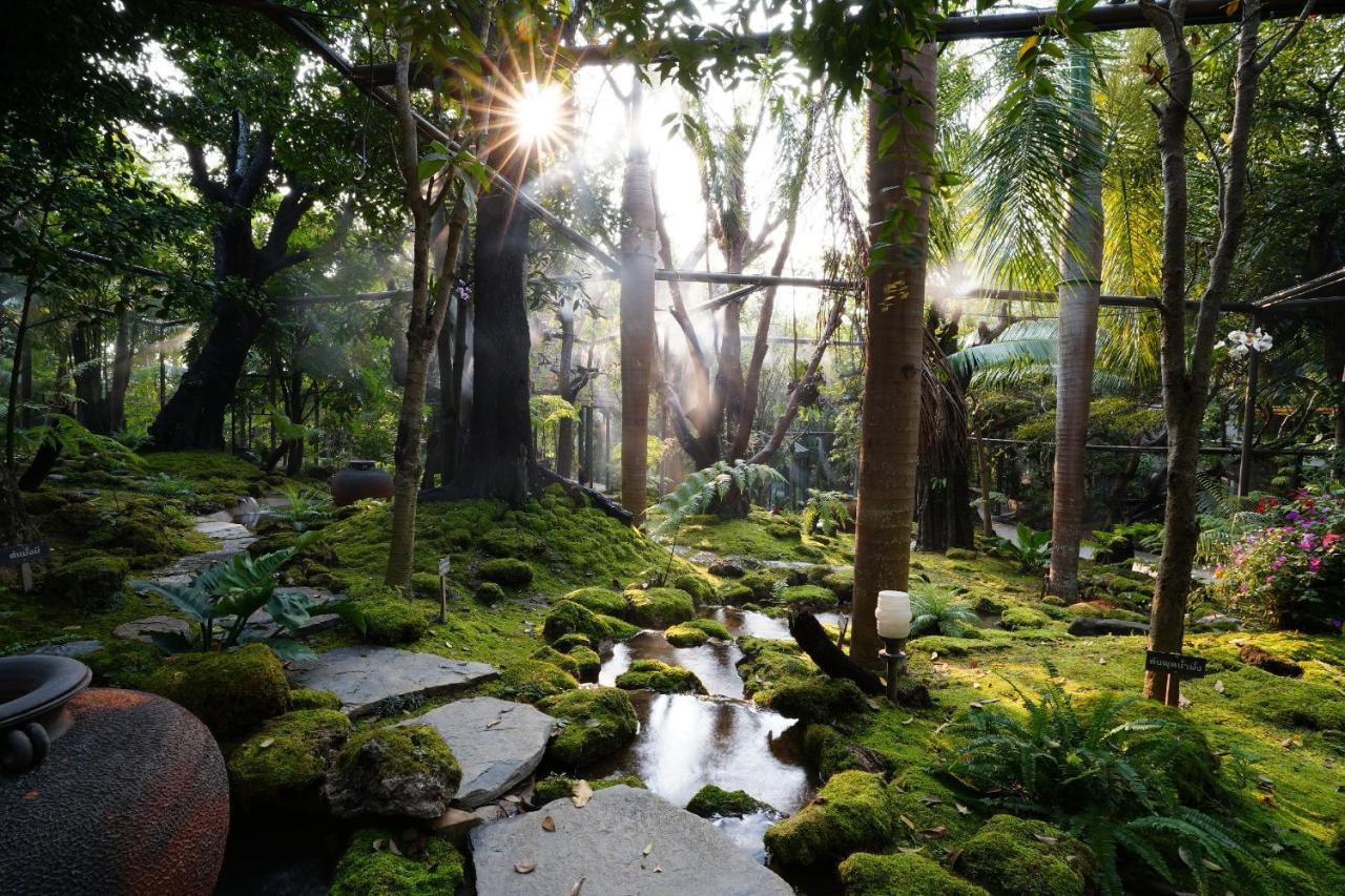 Treescape Resort Chiangmai Chiang Mai Bagian luar foto