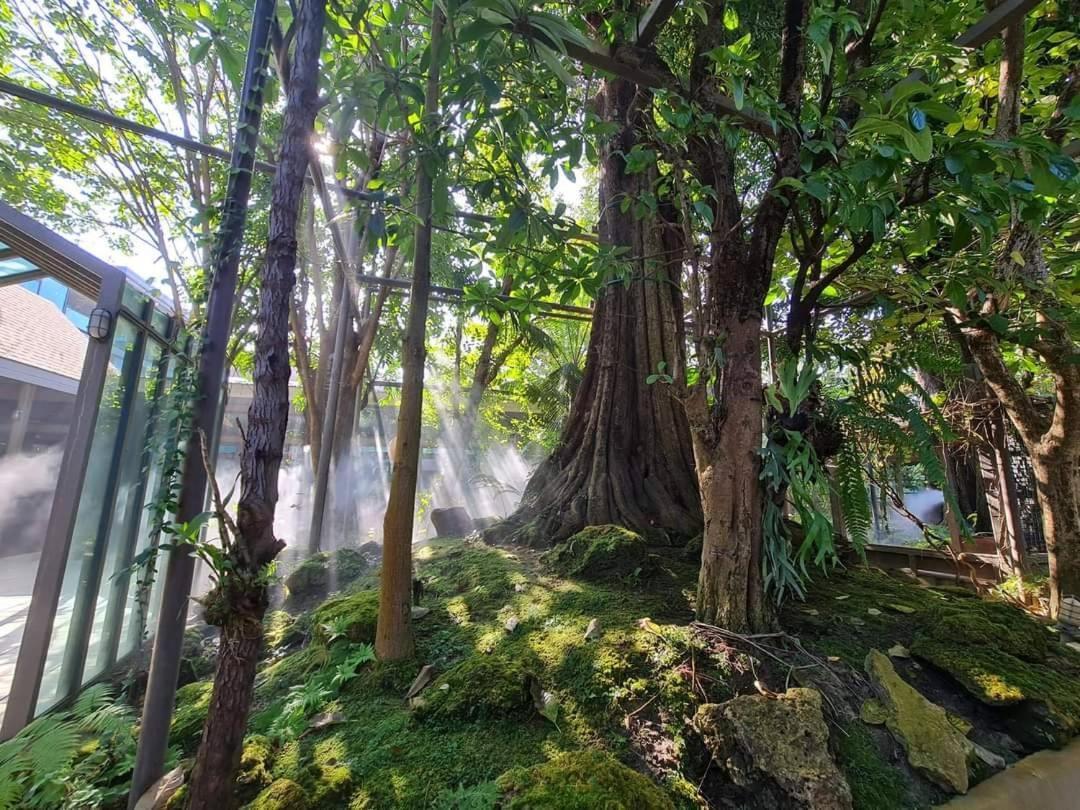 Treescape Resort Chiangmai Chiang Mai Bagian luar foto