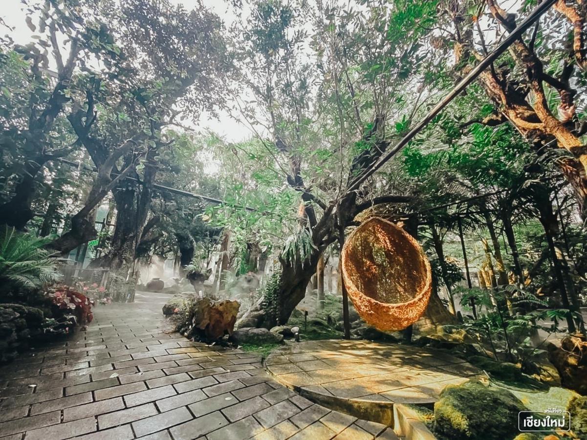 Treescape Resort Chiangmai Chiang Mai Bagian luar foto