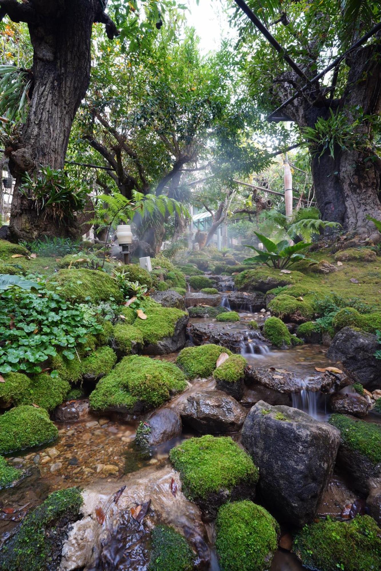 Treescape Resort Chiangmai Chiang Mai Bagian luar foto